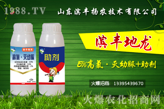 黑頭蛆、地蛆、根蛆如何有效防治?“15%高氯·滅幼脲+助劑”殺蛆雙保險!
