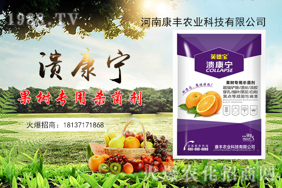 柑橘潰瘍病又到高發(fā)期，康豐農(nóng)業(yè)“潰康寧”防治效果怎么樣？