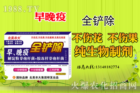 ������Σ�����أ������߷��δ�ʩ����Щ��