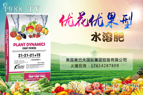 果實果小、不膨果？不妨試試“優(yōu)花優(yōu)果型水溶肥”，著色美果又增甜！