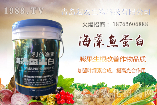 蔬菜定植如何緩苗快？蔬菜生根誤區(qū)有哪些？蔬菜生根壯苗肥推薦！