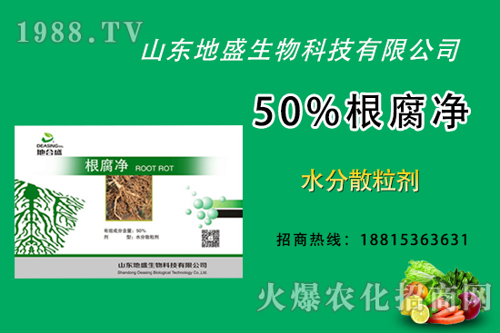 根腐病危害重，如何做好根腐病的防治？這樣做50%根腐凈！