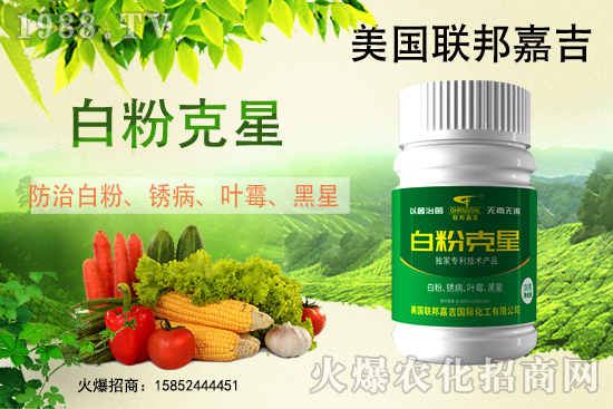 白粉病強(qiáng)勢來襲!反復(fù)發(fā)作真的治不好么?作物白粉病劑推薦!