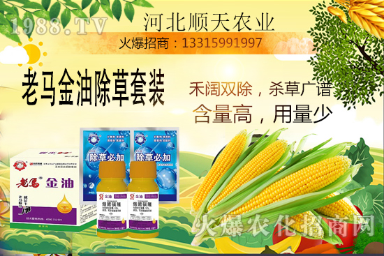 如何提高玉米苗后除草效率？玉米除草關(guān)鍵點大匯總！