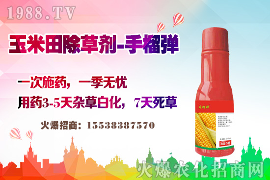 ������������v�������׳��݄��@�Ӵ������L�s�ݲ����磡