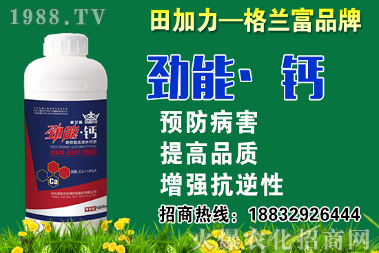 2020秋蘿卜什么時候種？秋蘿卜種植要注意哪些問題？