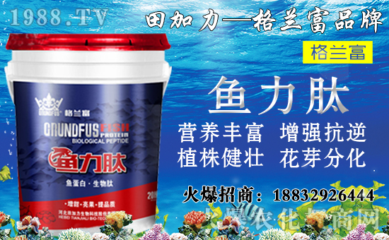 ���䌦�B(y��ng)���������c����Щ������ʩ���`�^(q��)�����_ʩ�ʷ�����