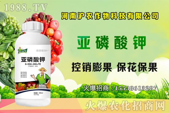 大蔥育苗要點(diǎn)你知道嗎?大蔥常見(jiàn)病蟲(chóng)害有哪些?如何防治?