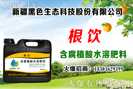 立秋后露地大白菜播種時(shí)間，管理需注意什么問題？