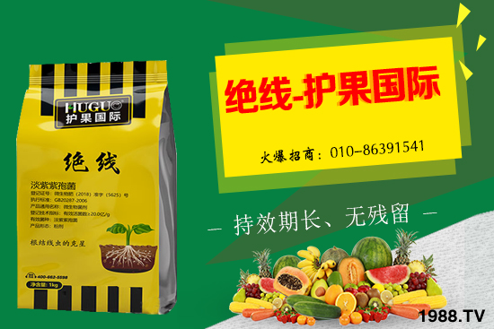 杏樹(shù)生長(zhǎng)條件有哪些，杏樹(shù)栽培管理技術(shù)！