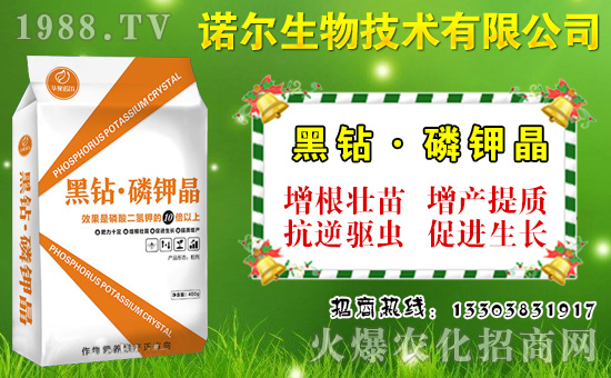 大棚菜豆如何施肥？菜豆需肥特點(diǎn)與施肥技術(shù)！