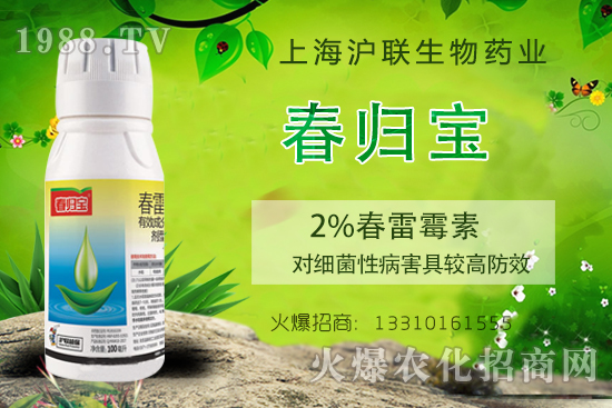     春雷霉素能防治什么病害？春雷霉素的作用機(jī)理及使用注意事項(xiàng)！