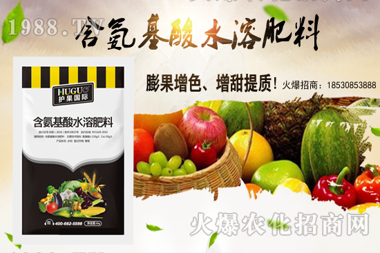 蕓豆適合在什么季節(jié)栽培？蕓豆如何進(jìn)行種植？