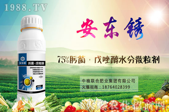 小麥價(jià)格后市將繼續(xù)漲?9月16日小麥價(jià)格走勢!