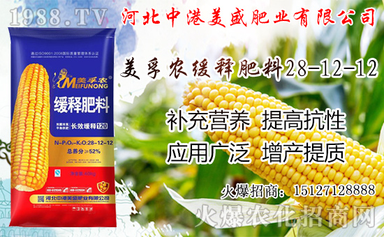 蘋果成熟期落果是怎么回事？蘋果成熟期及采摘后管理！