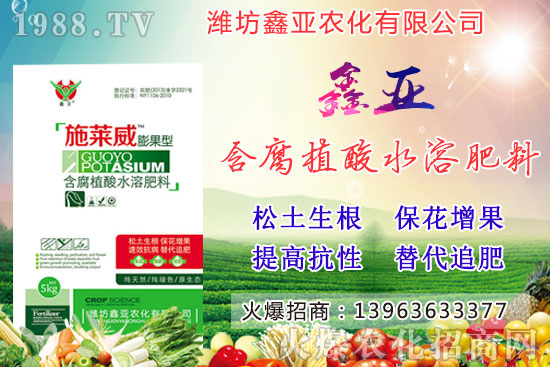糧食漲價！20209月17日小麥價格行情如何？