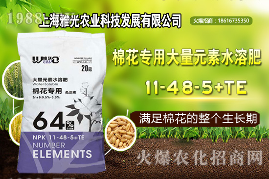 甜椒什么時候種植，甜椒栽培技術(shù)要點(diǎn)！