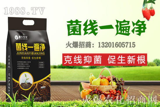 9月19日小麥價(jià)格更新，漲跌互現(xiàn)！