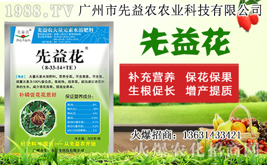 水仙花形態(tài)特征及生長習(xí)性，水仙花栽培方法！