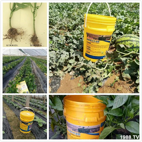 水溶肥市場大變革??？海藻精、魚蛋白將被它代替！1000多用戶鼎力推薦！