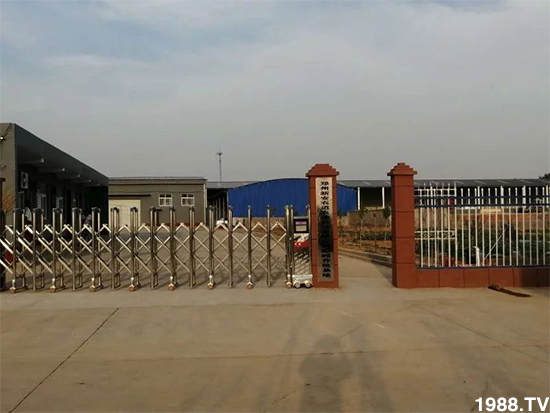 水溶肥市場大變革??？海藻精、魚蛋白將被它代替！1000多用戶鼎力推薦！