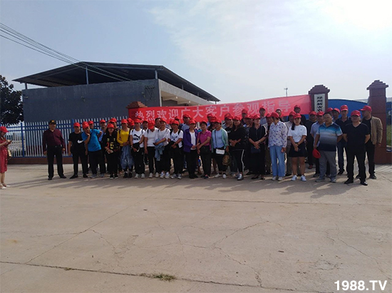 水溶肥市場大變革??？海藻精、魚蛋白將被它代替！1000多用戶鼎力推薦！