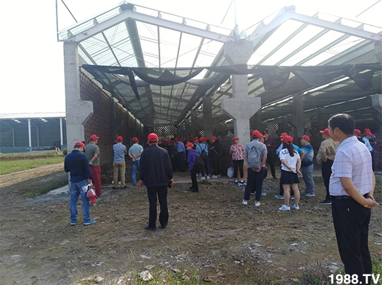 水溶肥市場大變革！？海藻精、魚蛋白將被它代替！1000多用戶鼎力推薦！