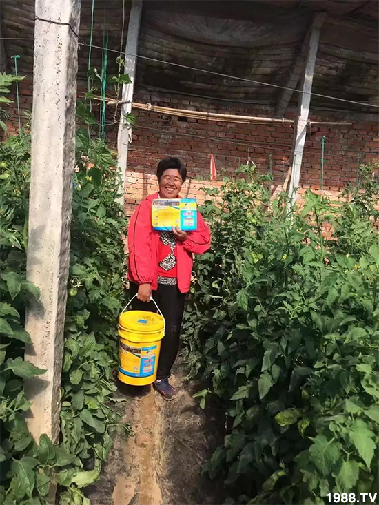 水溶肥市場大變革??？海藻精、魚蛋白將被它代替！1000多用戶鼎力推薦！