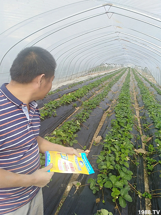 水溶肥市場大變革??？海藻精、魚蛋白將被它代替！1000多用戶鼎力推薦！