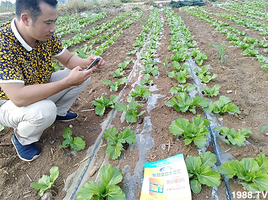水溶肥市場大變革?。亢Ｔ寰?、魚蛋白將被它代替！1000多用戶鼎力推薦！