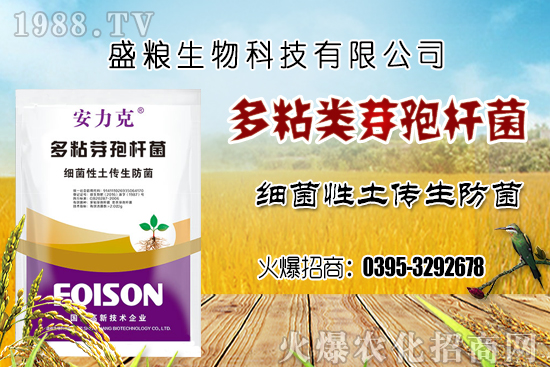 車?yán)遄臃N植環(huán)境要求有哪幾點(diǎn)？車?yán)遄恿挤N選擇及良種套種！