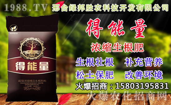 2020��С���N������x���߮a(ch��n)С��Ʒ�N����Щ��