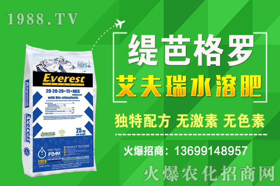 小麥價(jià)格漲了！十月小麥行情預(yù)測(cè)！