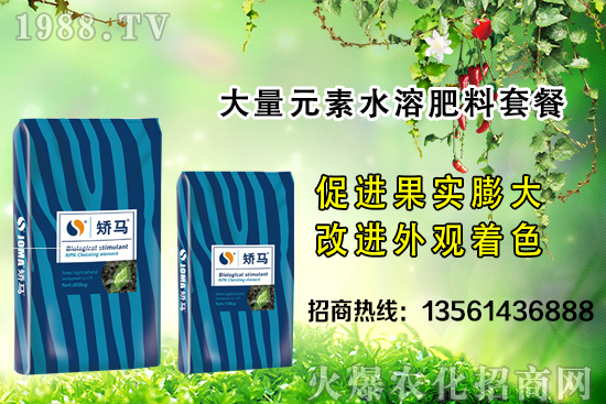 �＾����(sh��)ʩ�ʵĺ�̎����Щ���＾����(sh��)ʩ��ָ��(d��o)������