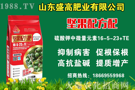 小麥價(jià)格還要上漲嗎？9月9日國(guó)內(nèi)小麥價(jià)格行情！