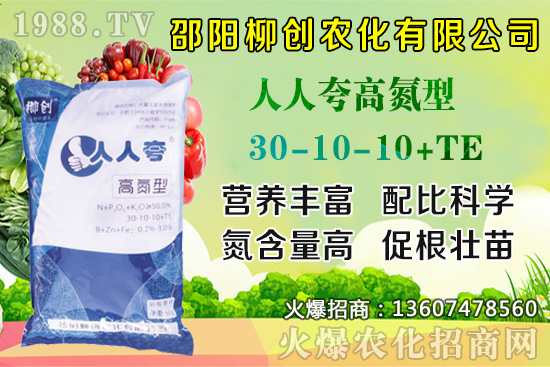 金銀花樹苗怎么種？金銀花樹苗種植技術(shù)及田間管理！