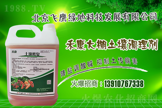 紫皮大蒜怎么種植？紫皮大蒜高產(chǎn)栽培技術(shù)！