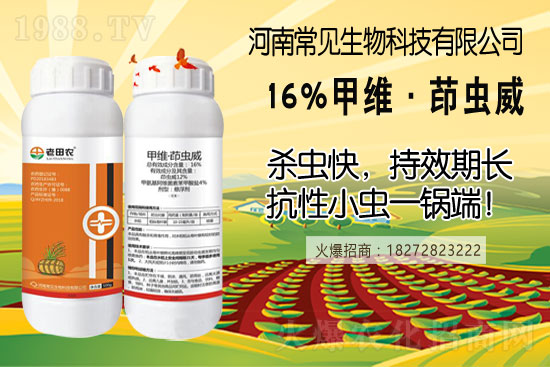 土豆幾月份種合適？（附如種植方法及田間管理）