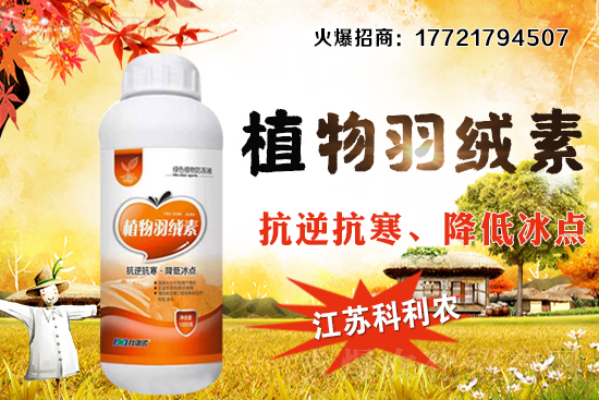 春玉米種植密度如何把握，春玉米施肥及中后期管理！