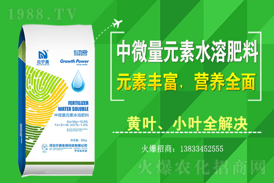 黃花菜該怎么種植?黃花菜種植過(guò)程需注意哪些問(wèn)題?