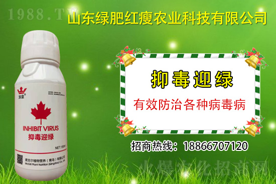 ���β�������Ҳ���ð������ֶ�ӭ�G�����β�������