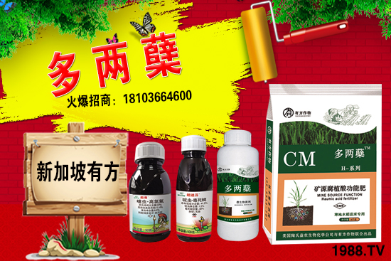 2021葡萄柚種植前景如何？葡萄柚和普通柚子有何區(qū)別？