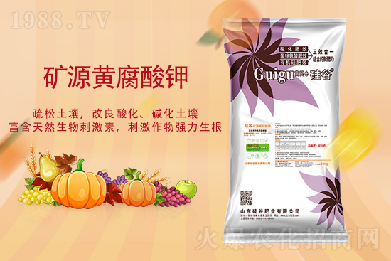 ��(f��)�Ϸʈ�(b��o)�r(ji��)��2021��10��15�Տ�(f��)�Ϸʃr(ji��)��