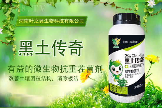  2021��10��19�����؃r(ji��)������