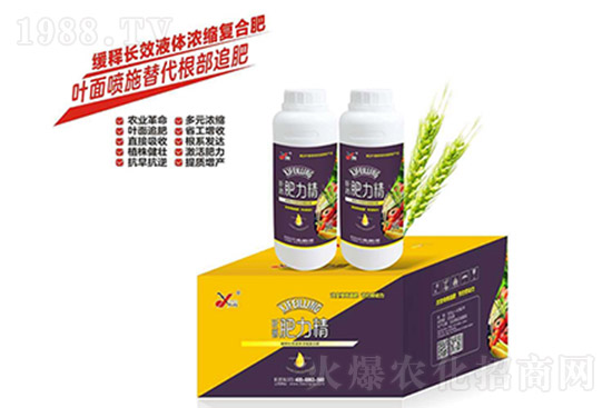 �ͺϷ�߀Ҫ�q�����10��26�ՏͺϷʃr���߄�