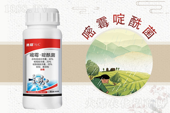 �¹چ̵��ٺ�1988.TV���T�����x����