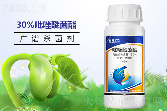 �¹چ̵��ٺ�1988.TV���T�����x����