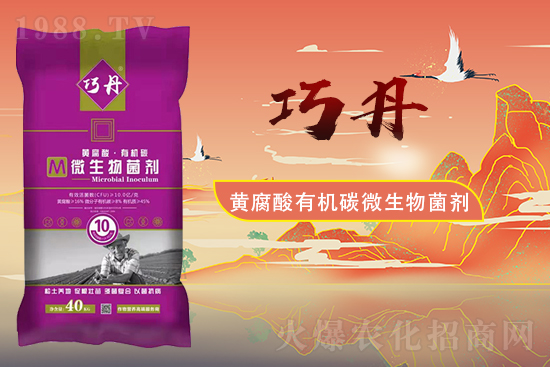 �����P(gu��n)ϵ�����A��ɽ�|�f��ȵ��m(x��)�s1988.TV��