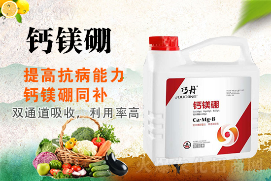 �����P(gu��n)ϵ�����A��ɽ�|�f��ȵ��m(x��)�s1988.TV��