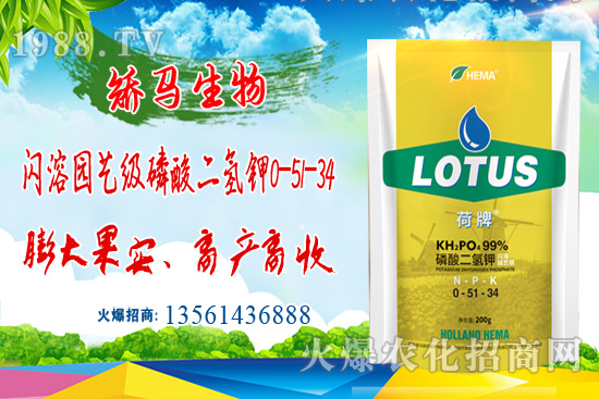 尿素大漲500元/噸！11月15日尿素價格